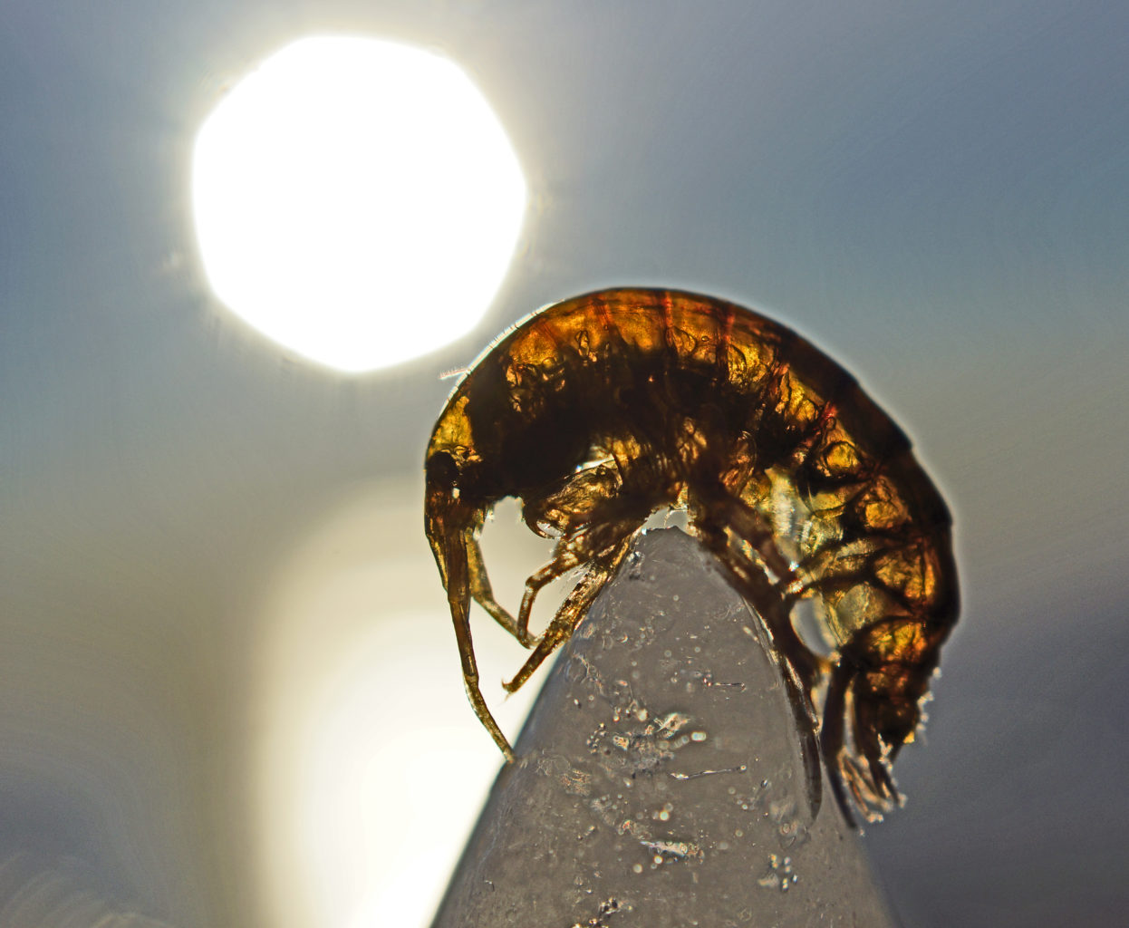 Valokuvaaja: Juhani Harkas