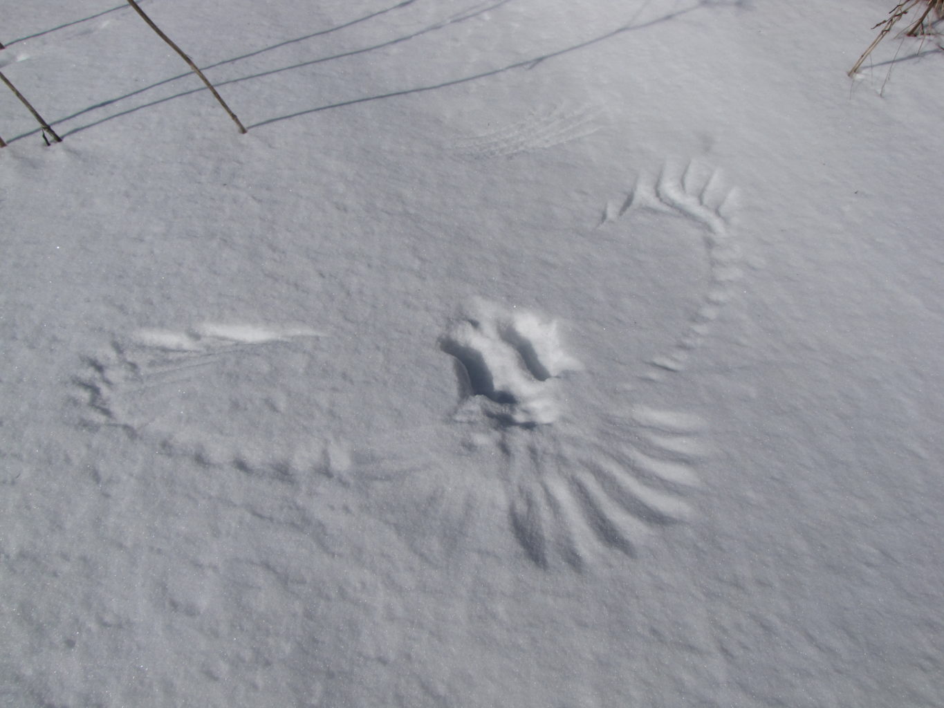 Valokuvaaja: Kalle Toroska Valokuvaaja: Kalle Toroska