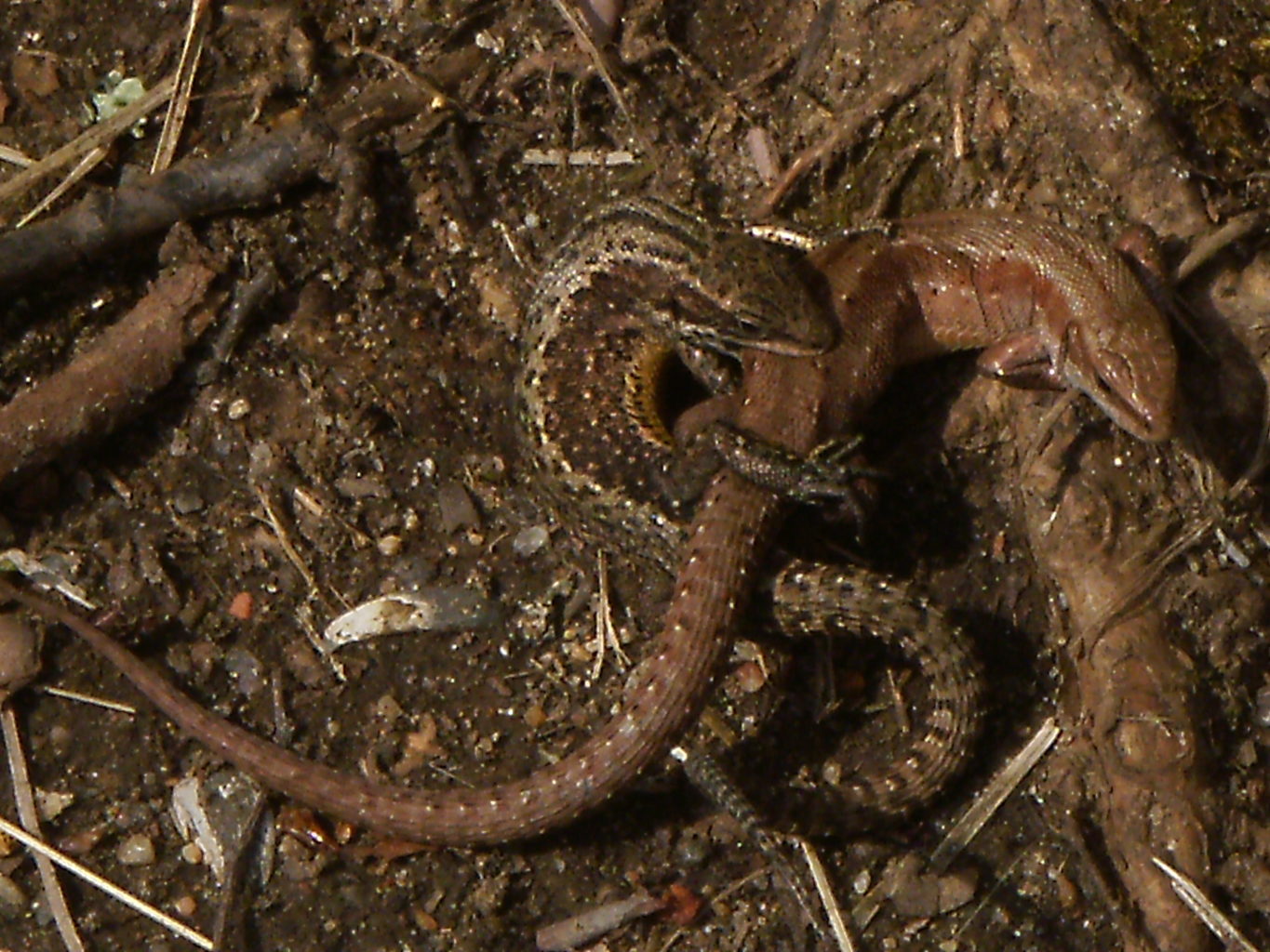 Valokuvaaja: Elina Oksanen