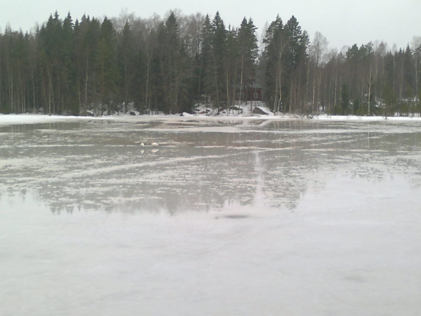 Valokuvaaja: Dennis Verbeek