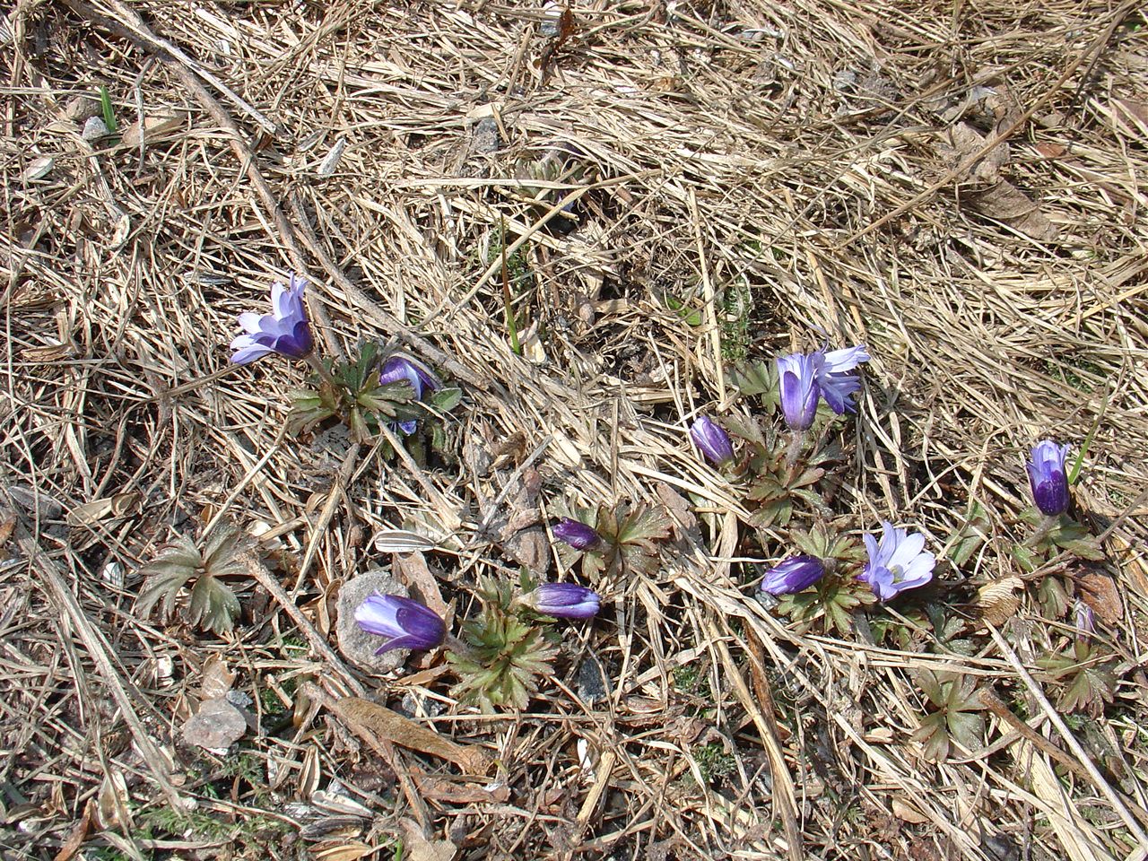 Valokuvaaja: Aune Greggas