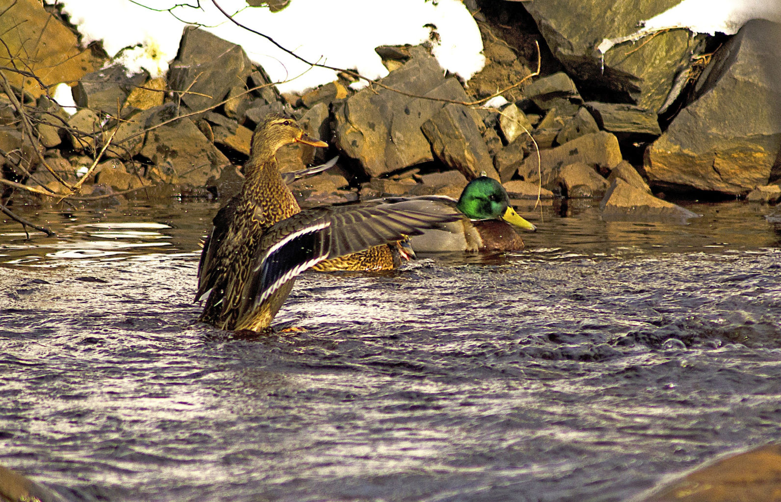Valokuvaaja: Jouni marttila