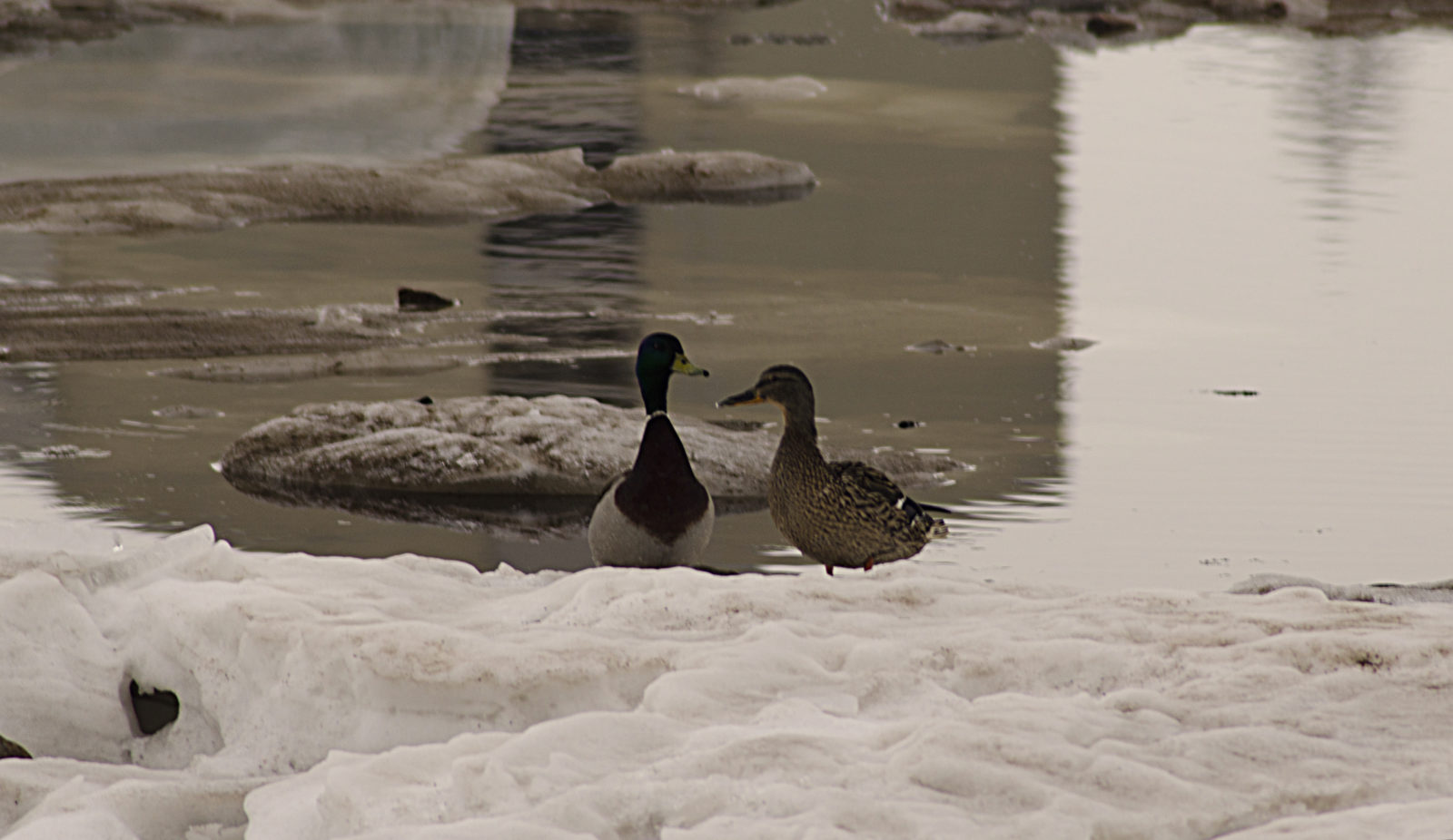 Valokuvaaja: Jouni Marttila