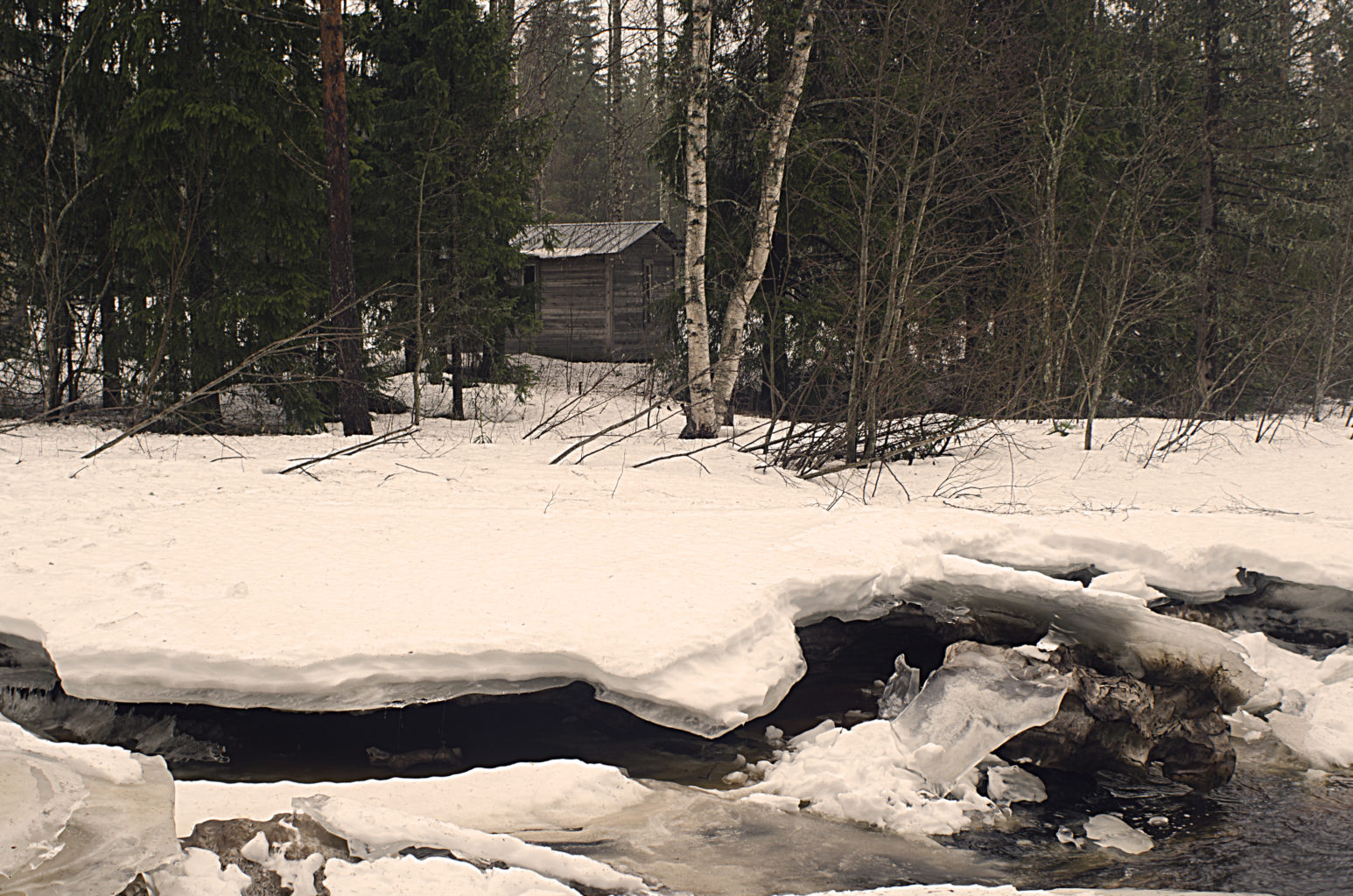 Valokuvaaja: Jouni Marttila