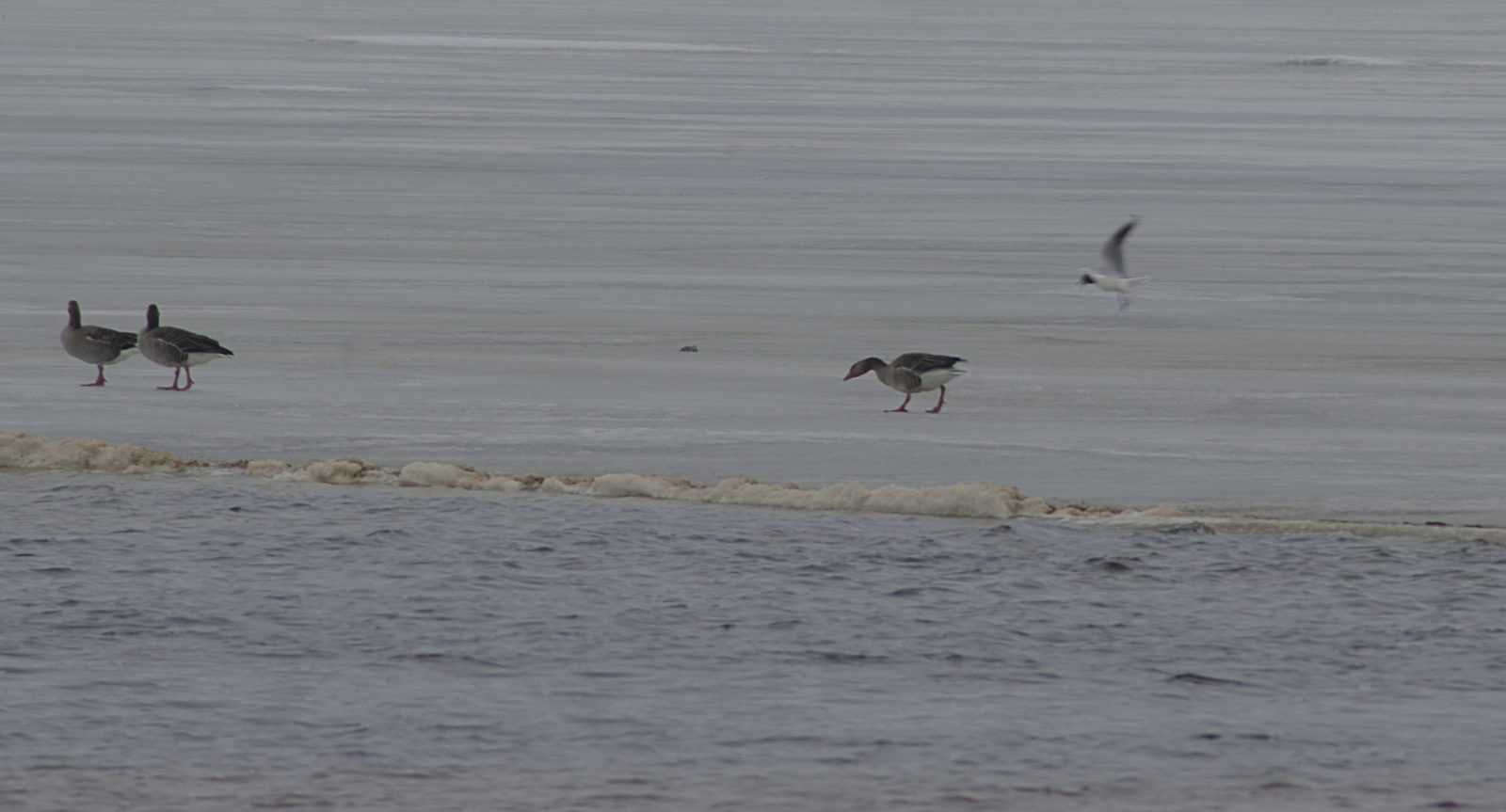 Valokuvaaja: Jouni Marttila