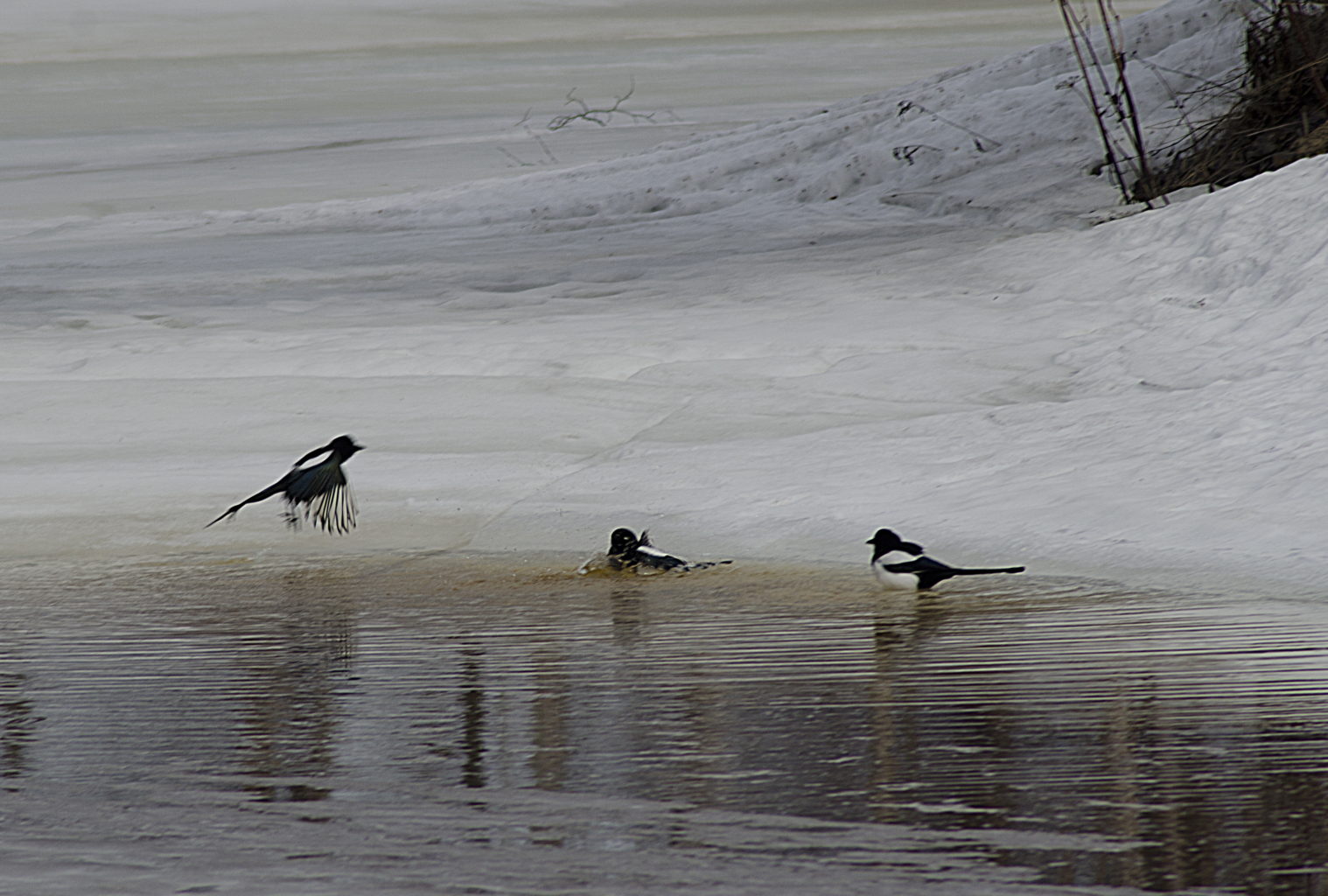 Valokuvaaja: Jouni Marttila