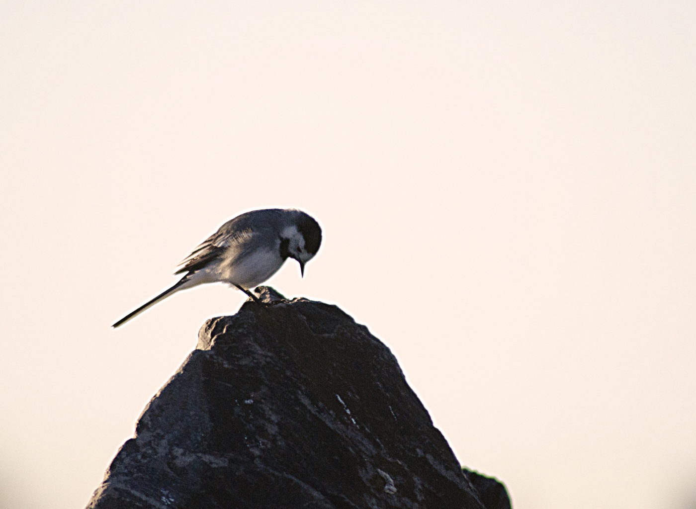 Valokuvaaja: Jouni Marttila Valokuvaaja: Jouni Marttila