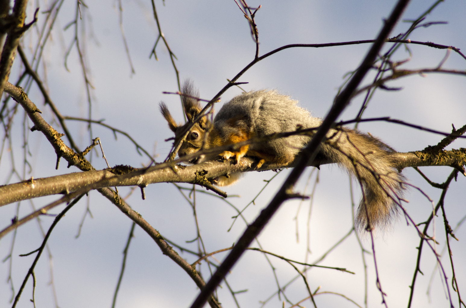 Valokuvaaja: Jouni Marttila
