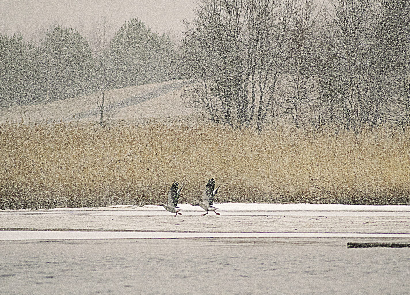 Valokuvaaja: Jouni Marttila