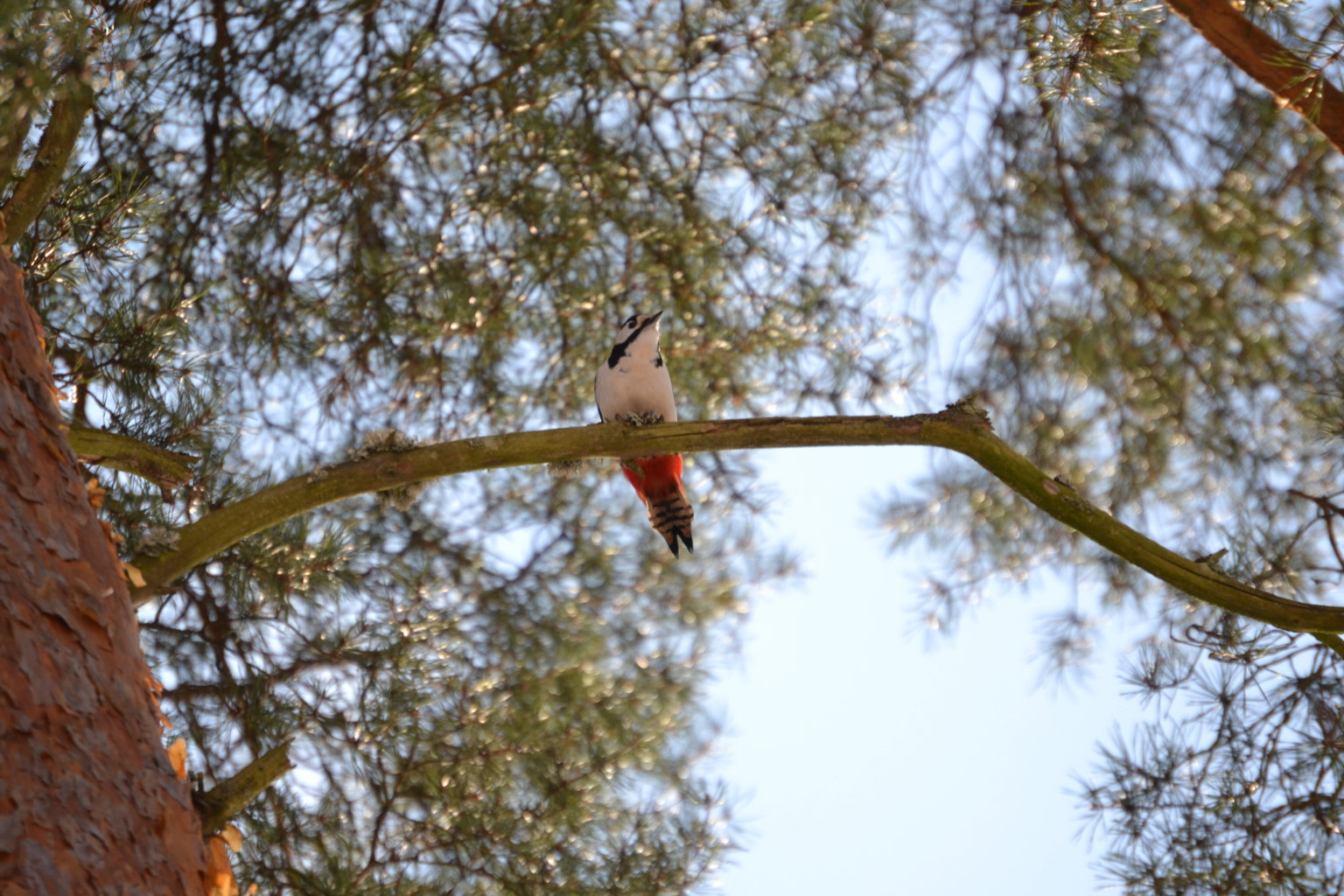 Valokuvaaja: Jesper Andersson