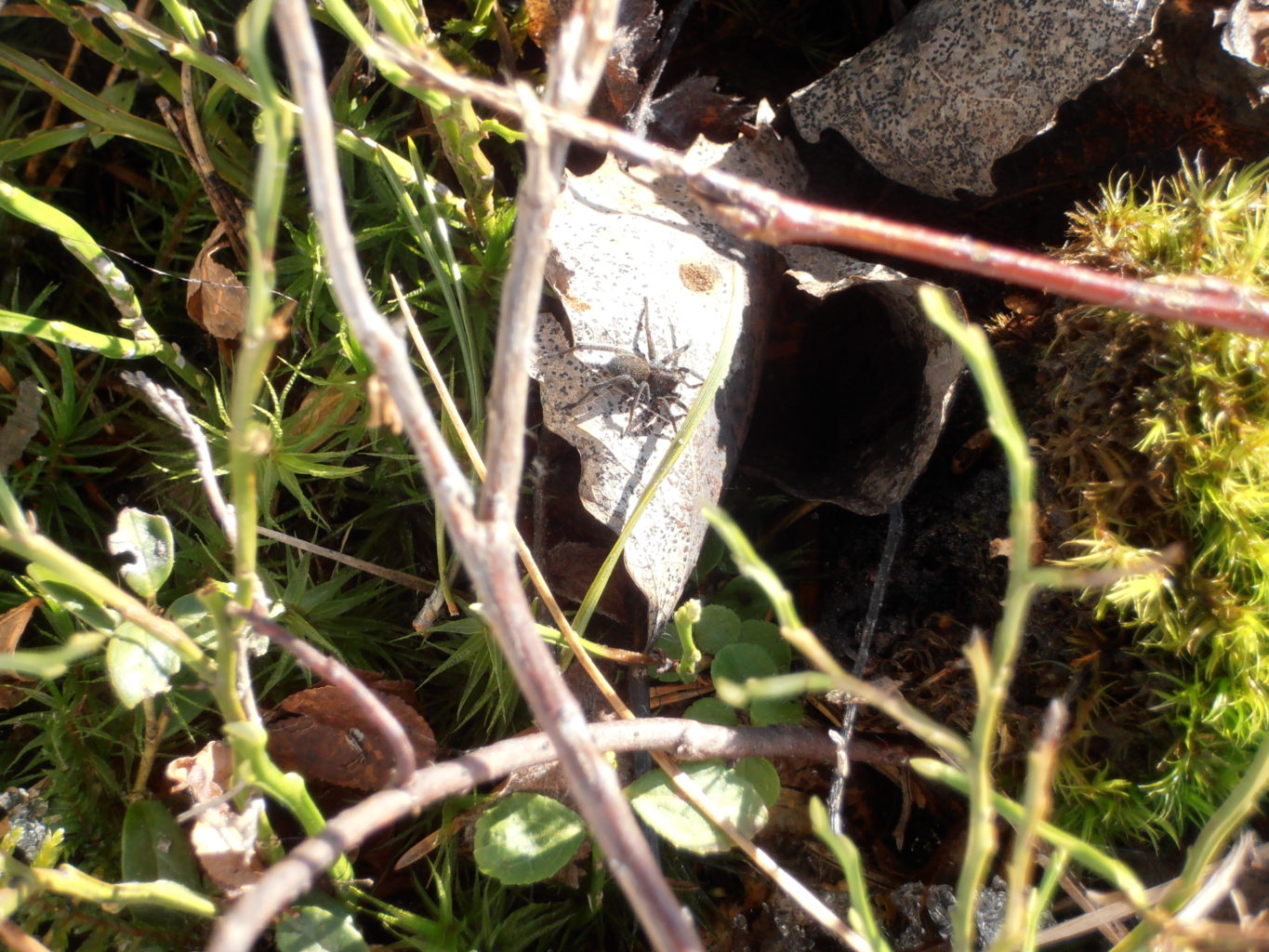 Valokuvaaja: Toni Asikainen