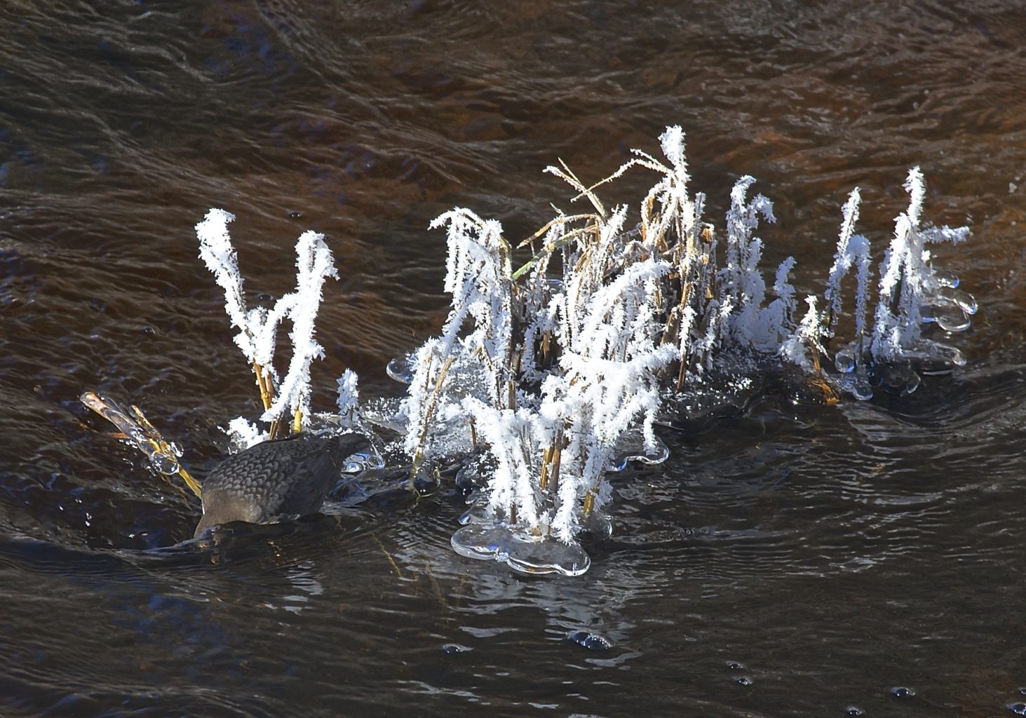 Valokuvaaja: Jari Läylönen