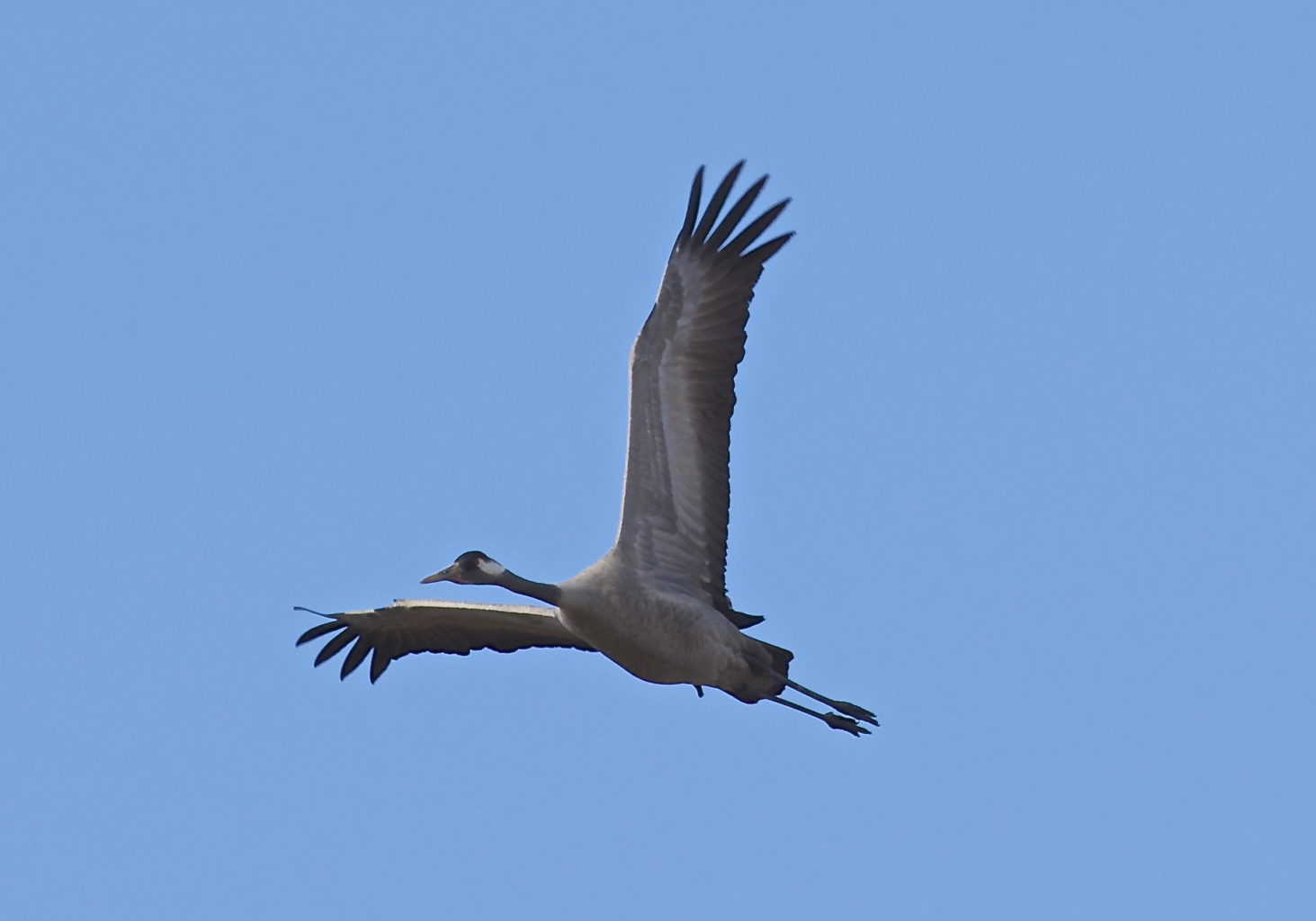 Valokuvaaja: Jari Läylönen