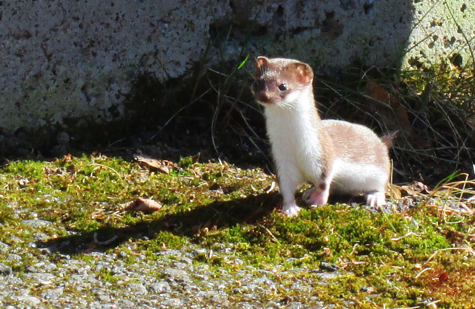 Valokuvaaja:  Petri Merta