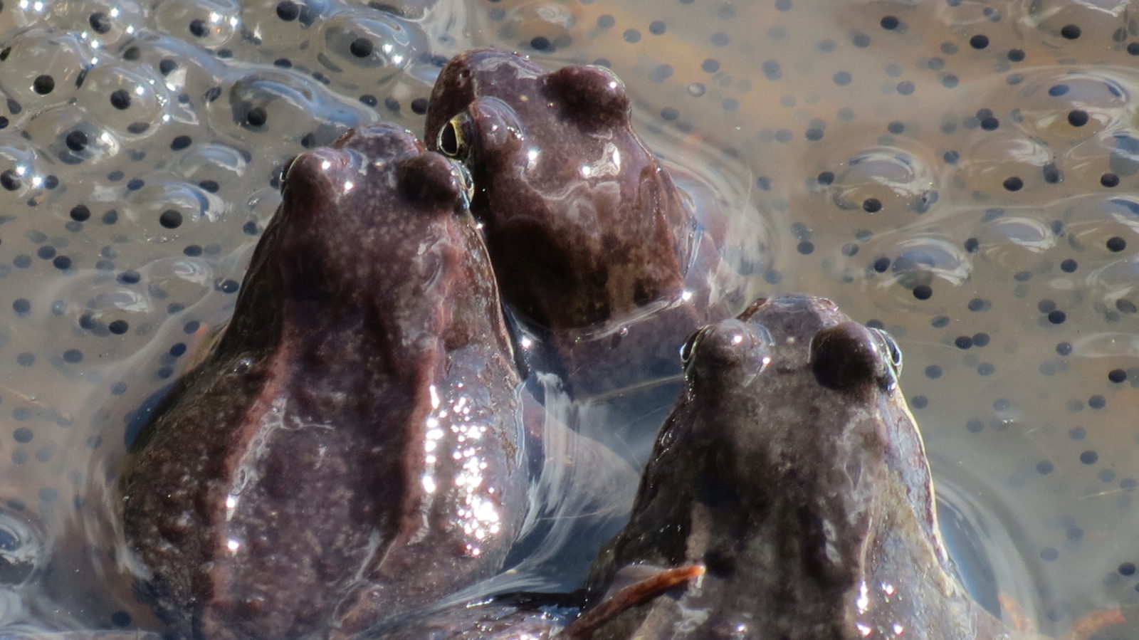 Valokuvaaja: Ari Haranto