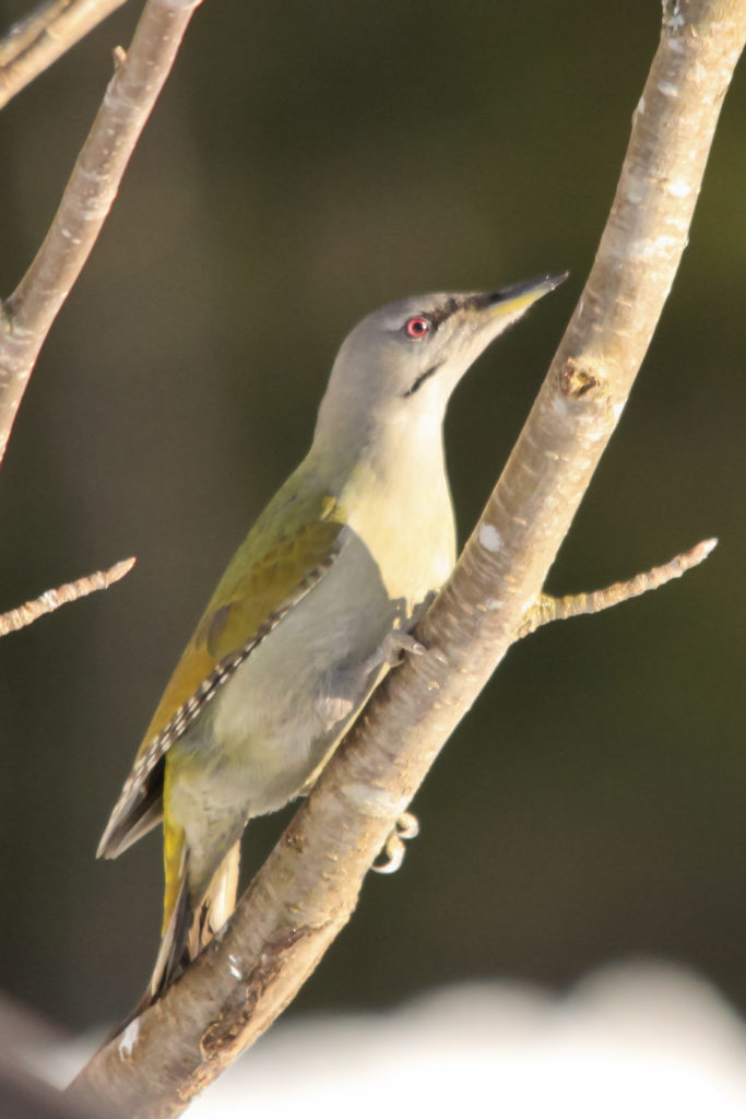 Valokuvaaja: Marika Hautakorpi