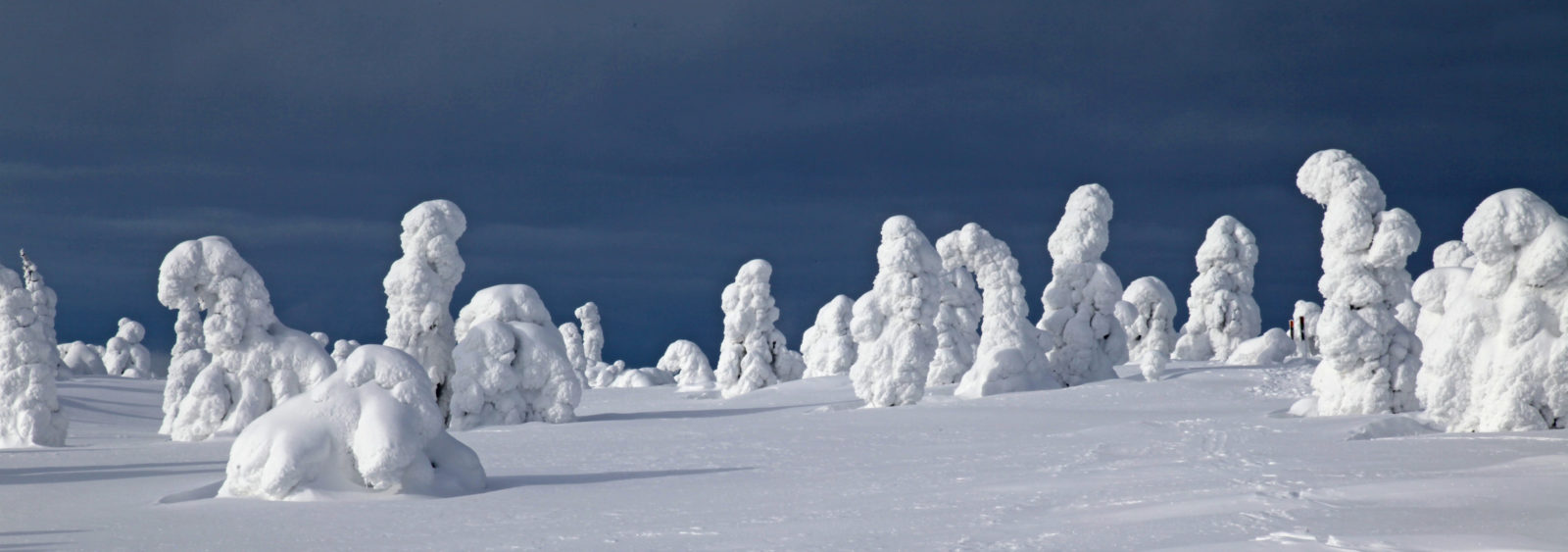 Valokuvaaja: Juha Mettälä