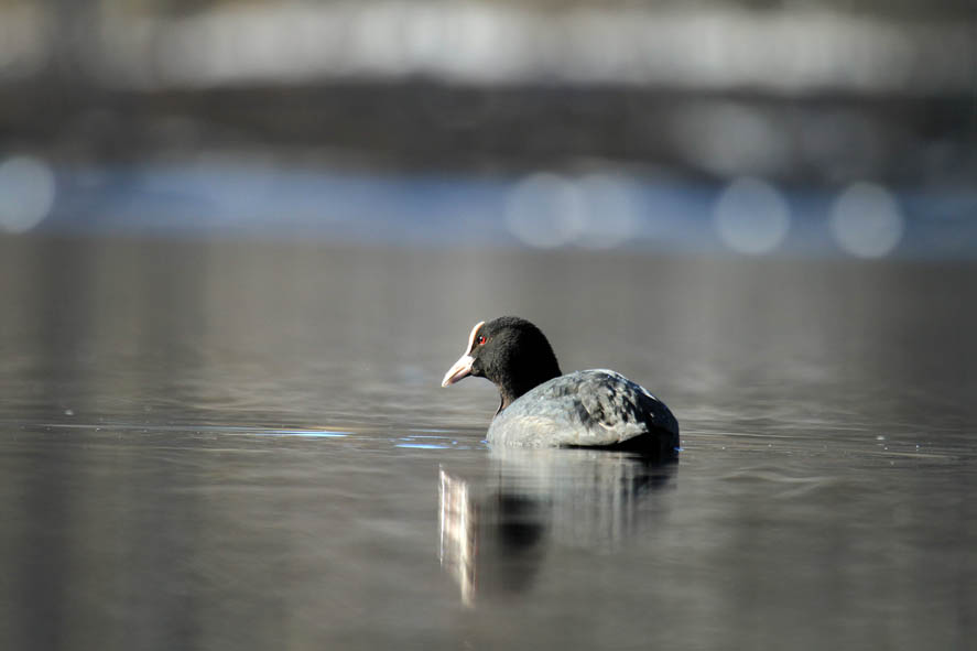 Valokuvaaja: Taru Alén