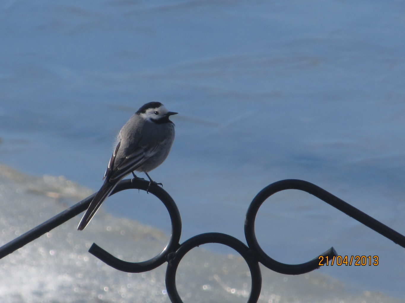 Valokuvaaja: Tuula Makkonen