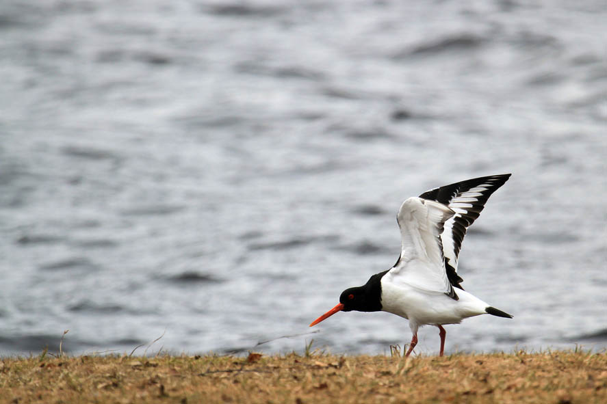 Valokuvaaja: Taru Alén Valokuvaaja: Taru Alén