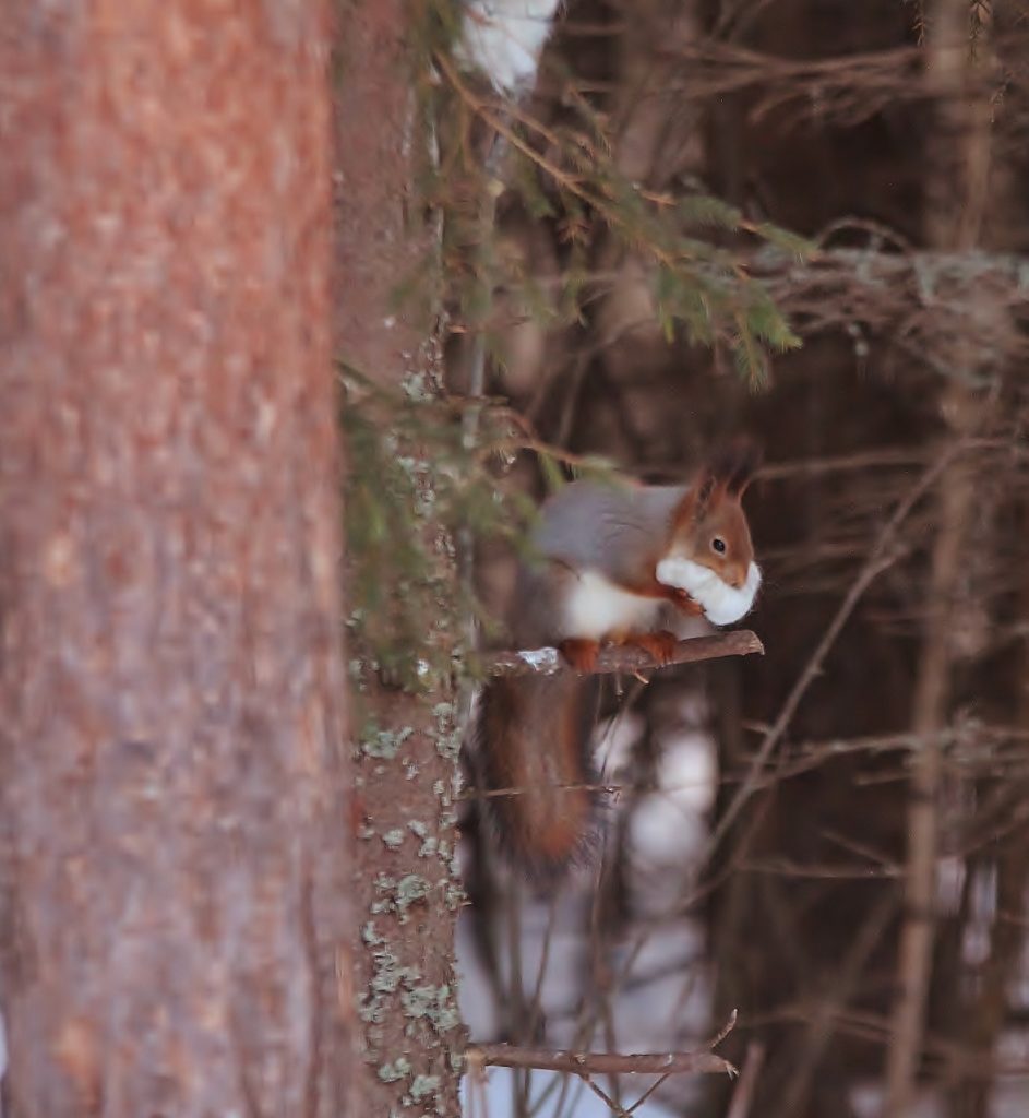 Valokuvaaja: Tuula Pirnes