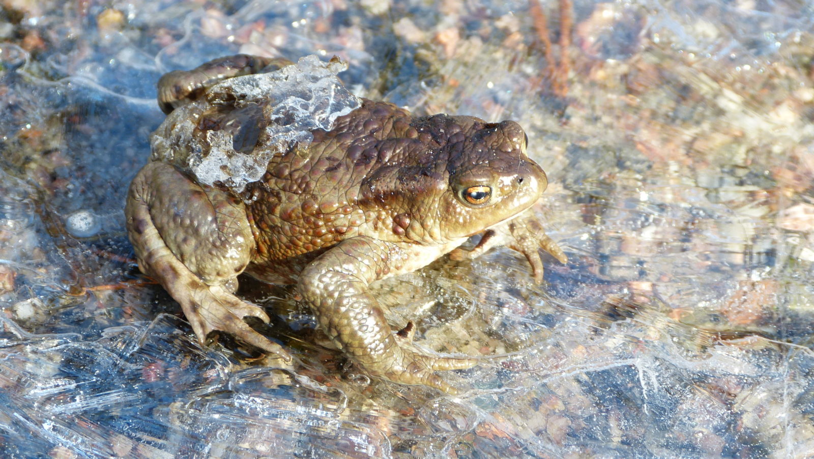 Valokuvaaja: Mari Vesterinen Valokuvaaja: Mari Vesterinen
