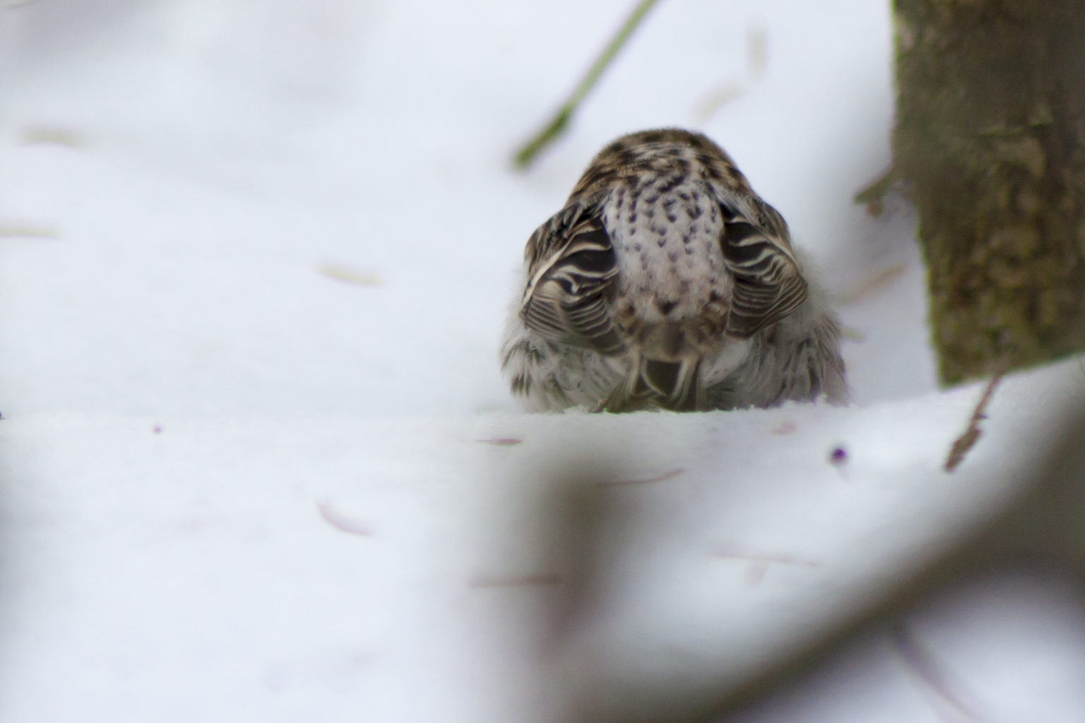 Valokuvaaja: Mika Pöyliö