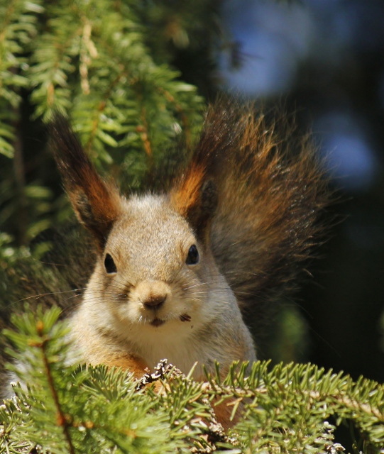 Valokuvaaja: Päivi Ronkainen