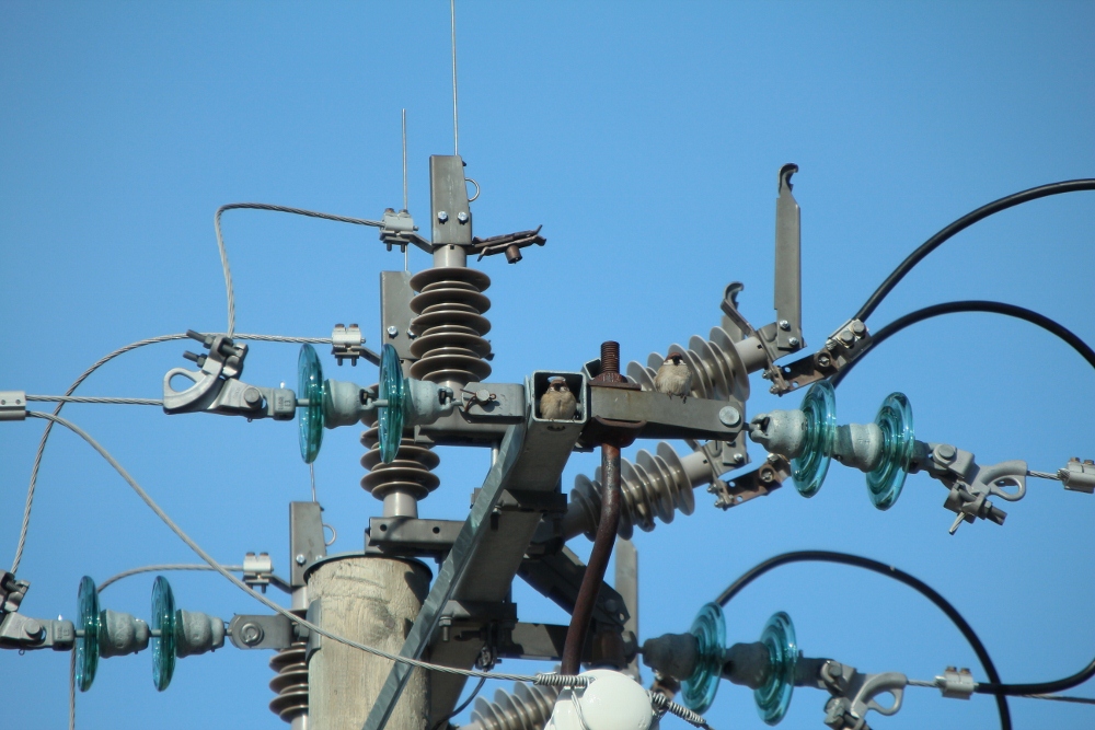 Valokuvaaja: Tuula Pirnes