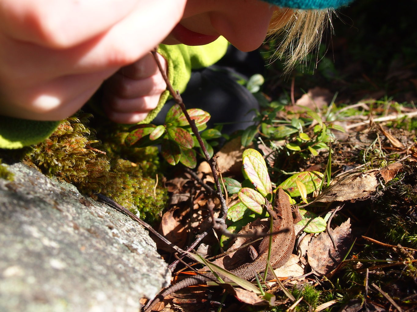 Valokuvaaja: Johanna Louhesto