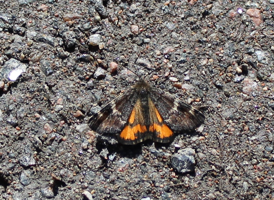 Valokuvaaja: Pirjo Hokkanen