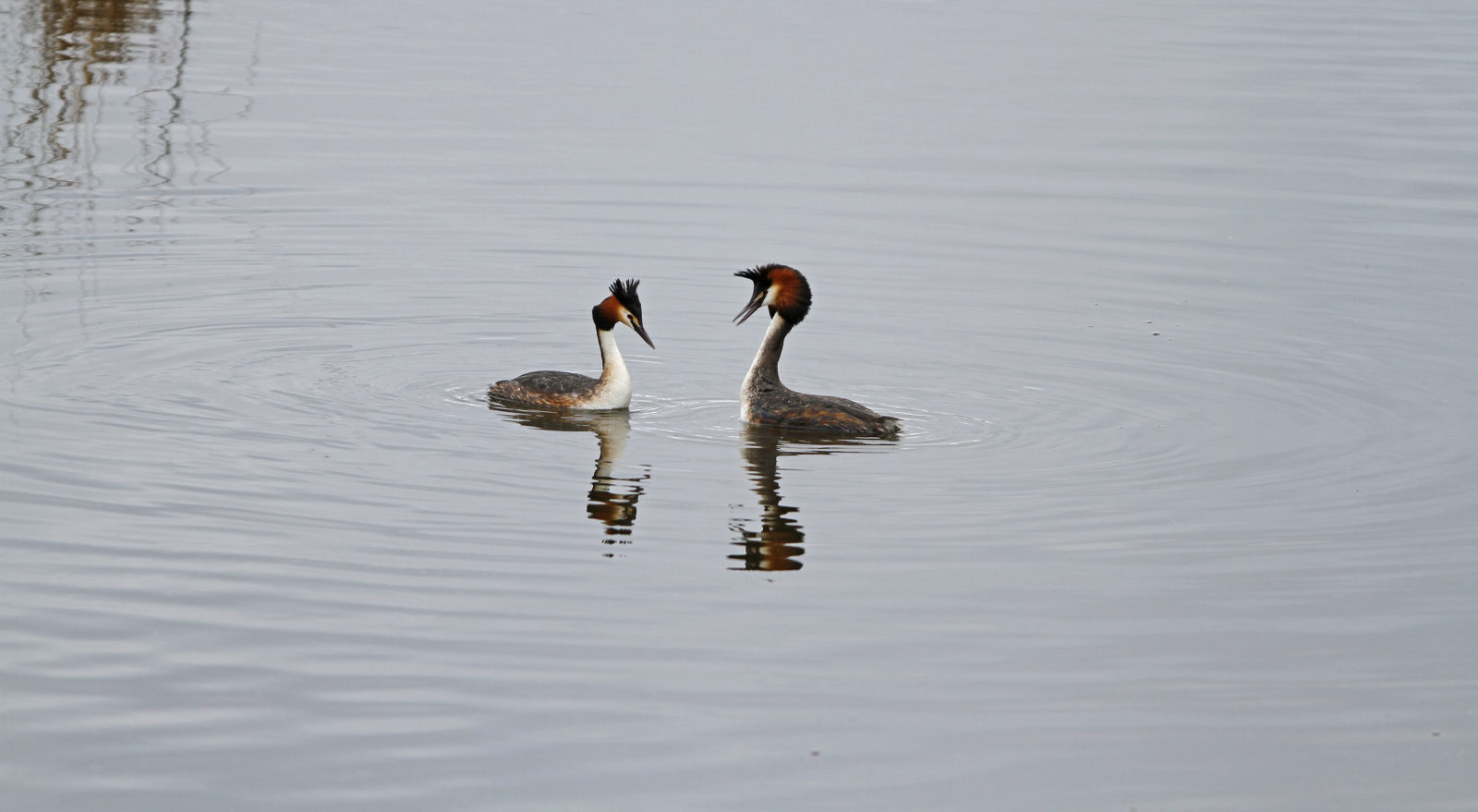 Valokuvaaja: Juha Mettälä