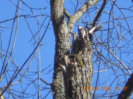 Valokuvaaja: Tiina Arlin