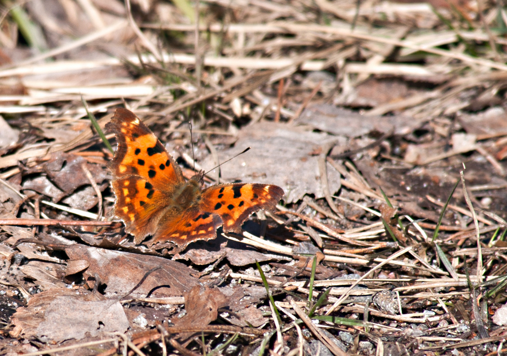 Valokuvaaja: Tuula Laakso