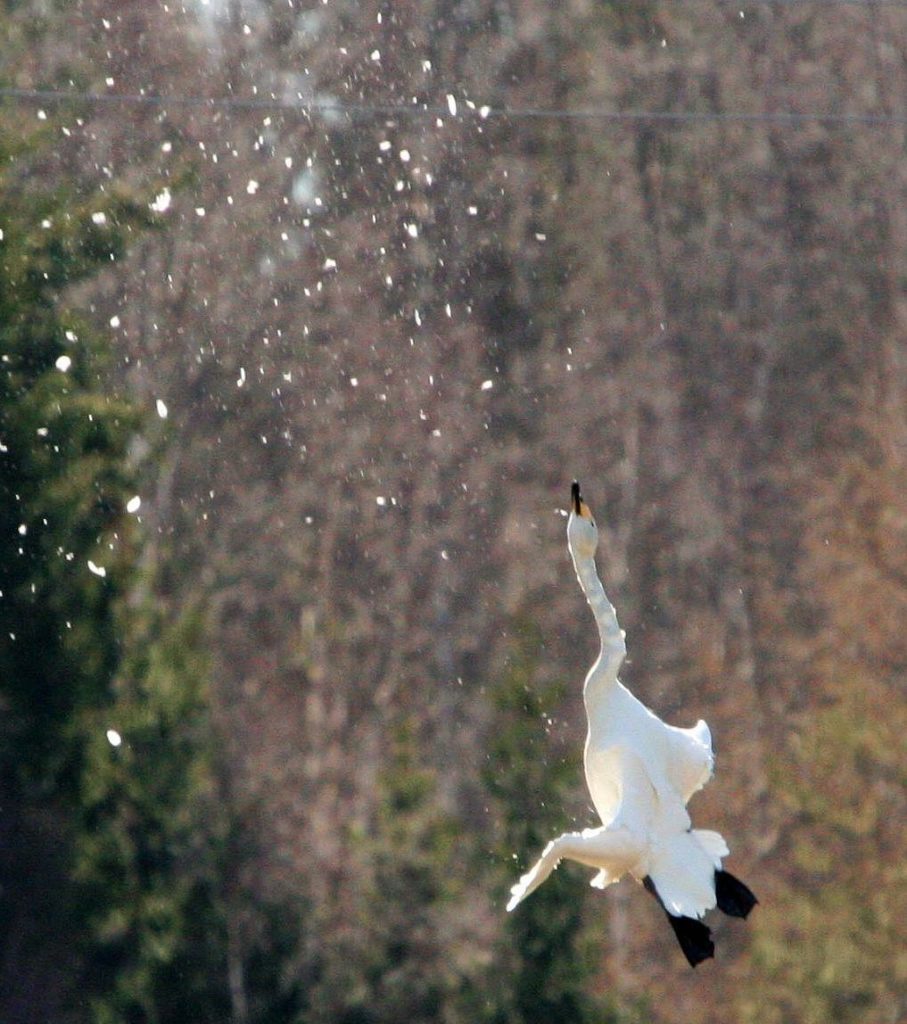Valokuvaaja: Marja Mallat