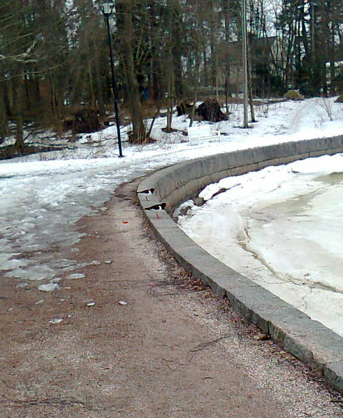 Valokuvaaja: Tyyra Juka