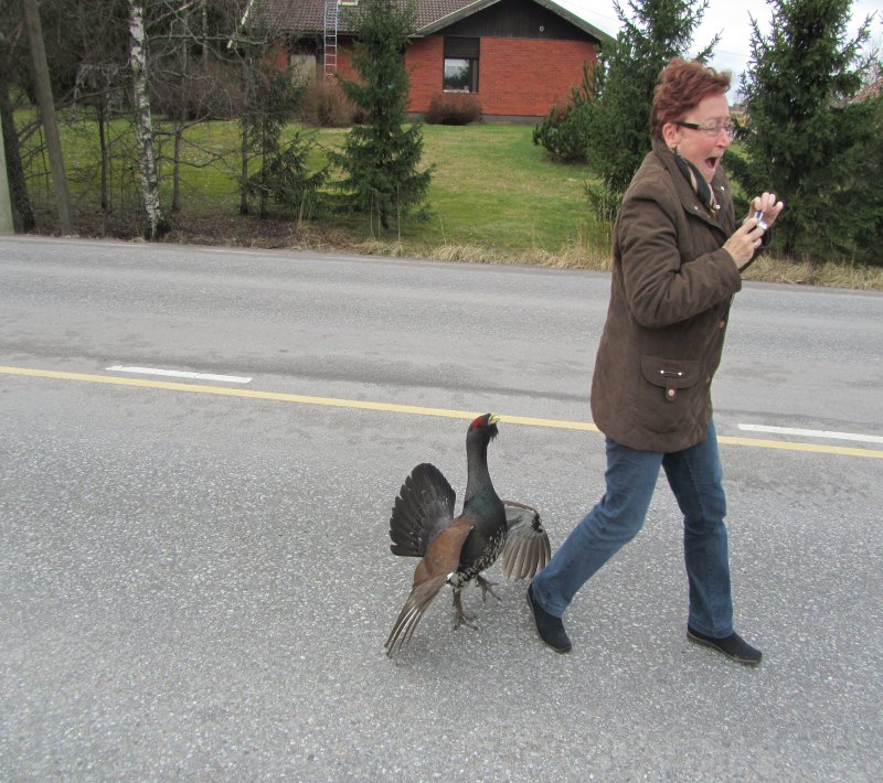 Valokuvaaja: Kai Kankare Valokuvaaja: Kai Kankare