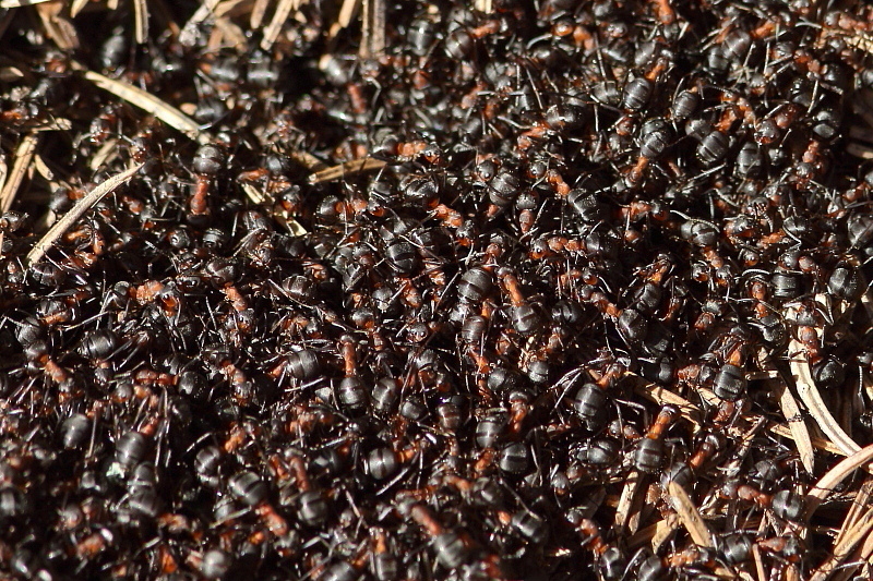 Valokuvaaja: Hanna Järvinen