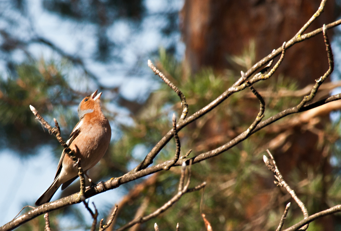 Valokuvaaja: Tuula Laakso