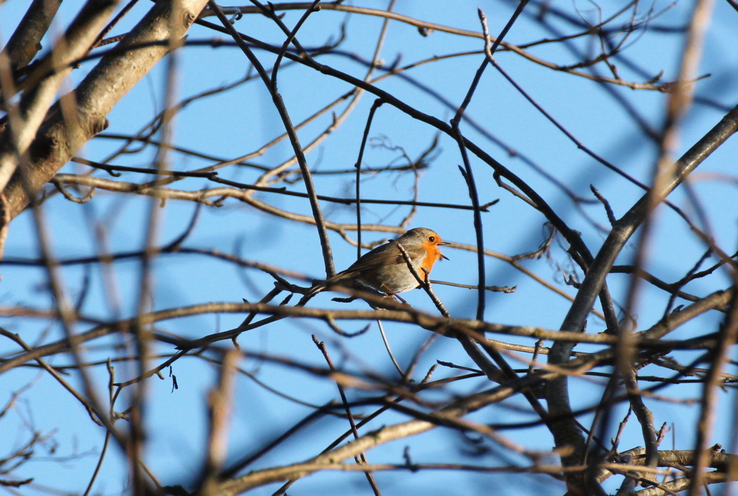 Valokuvaaja: Maija Kotilahti