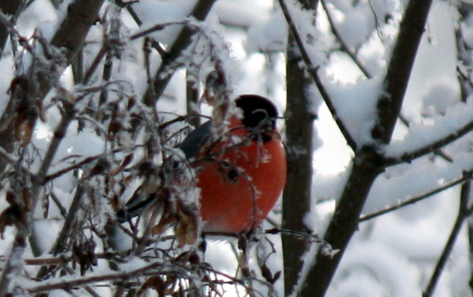 Valokuvaaja: Seija Panula