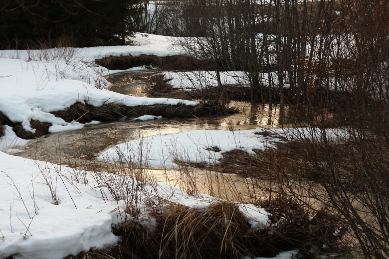 Valokuvaaja: Hanna Järvinen