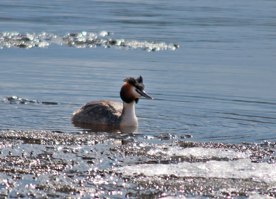 Valokuvaaja: Tuula Laakso