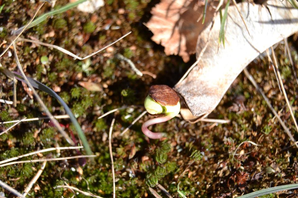 Valokuvaaja: Mirka Mäntylä