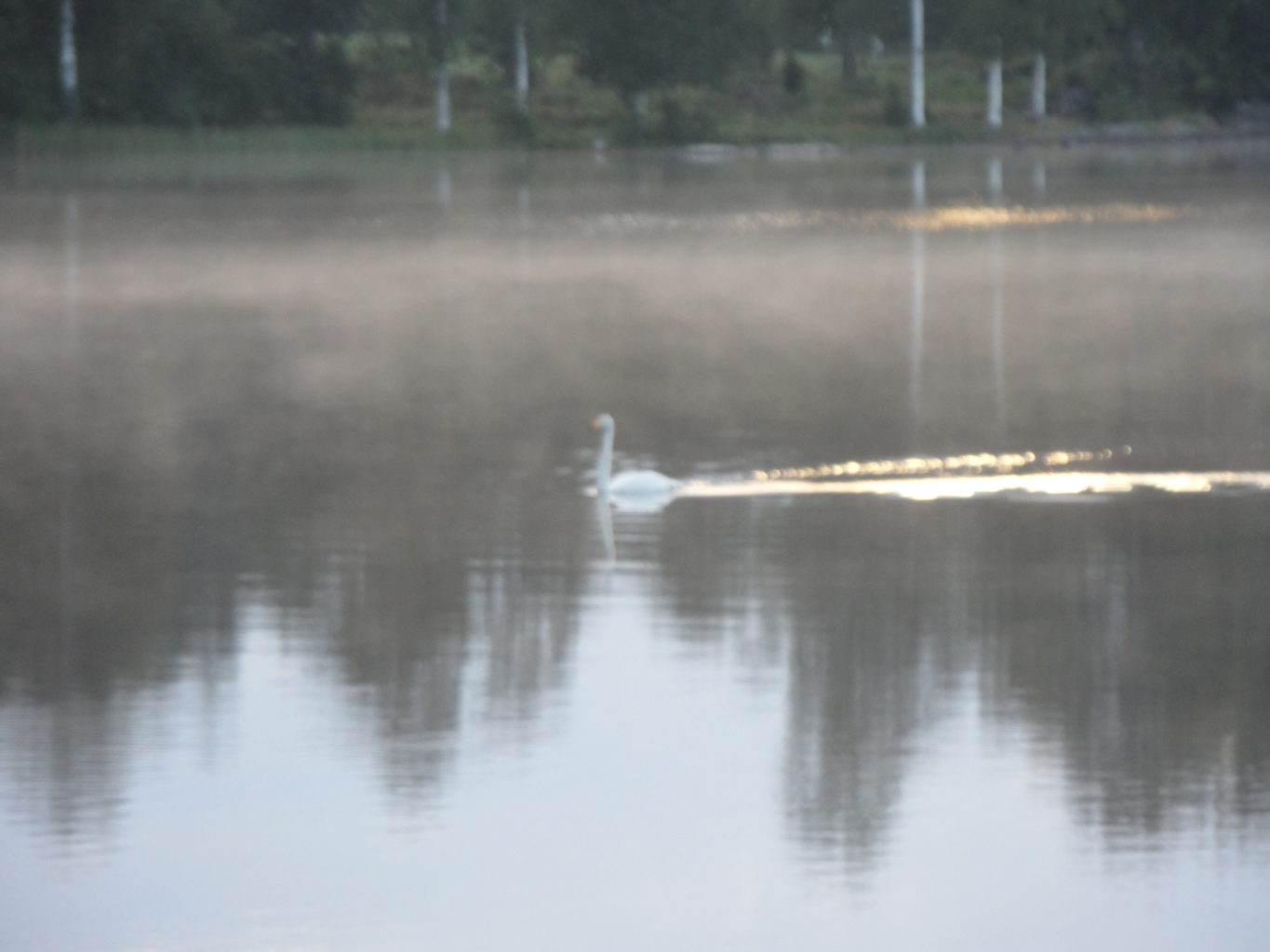 Valokuvaaja: Raili Kannel