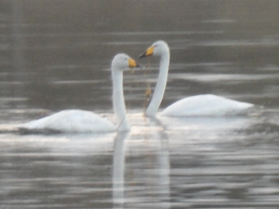 Valokuvaaja: Raili Kannel
