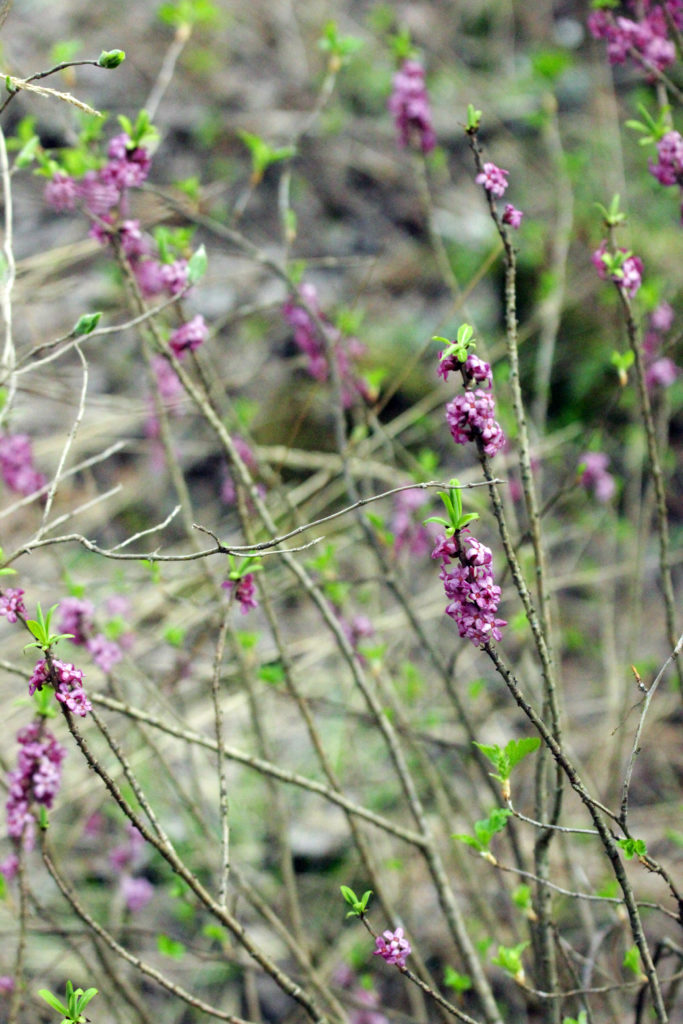 Valokuvaaja: Satu Mali