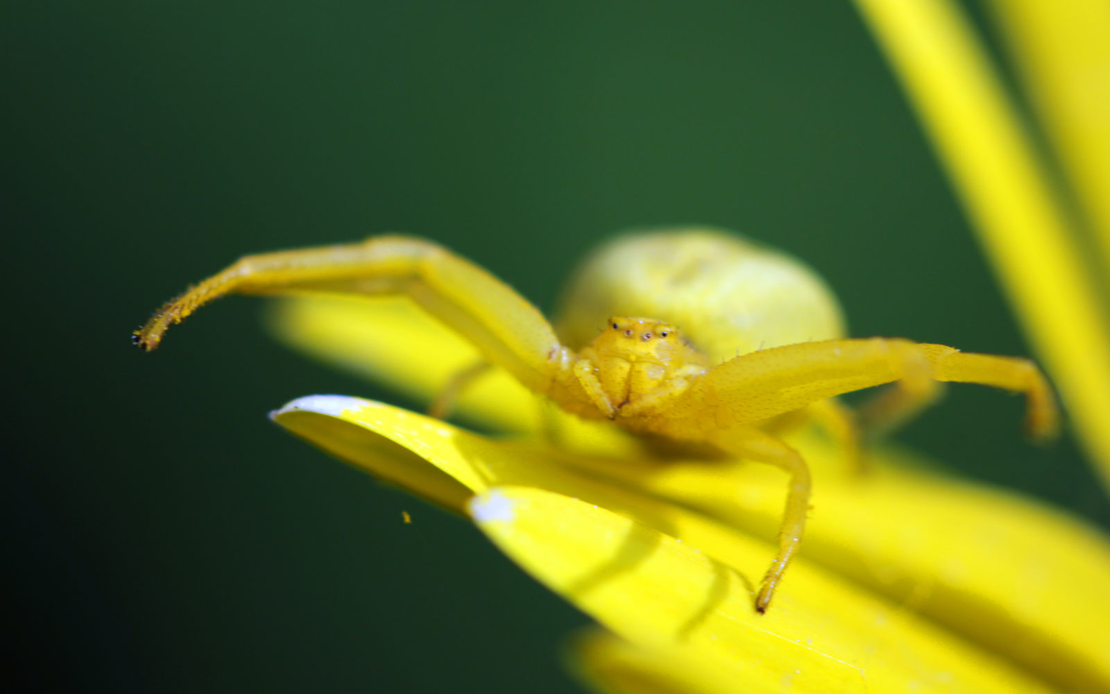 Valokuvaaja: Satu Mali