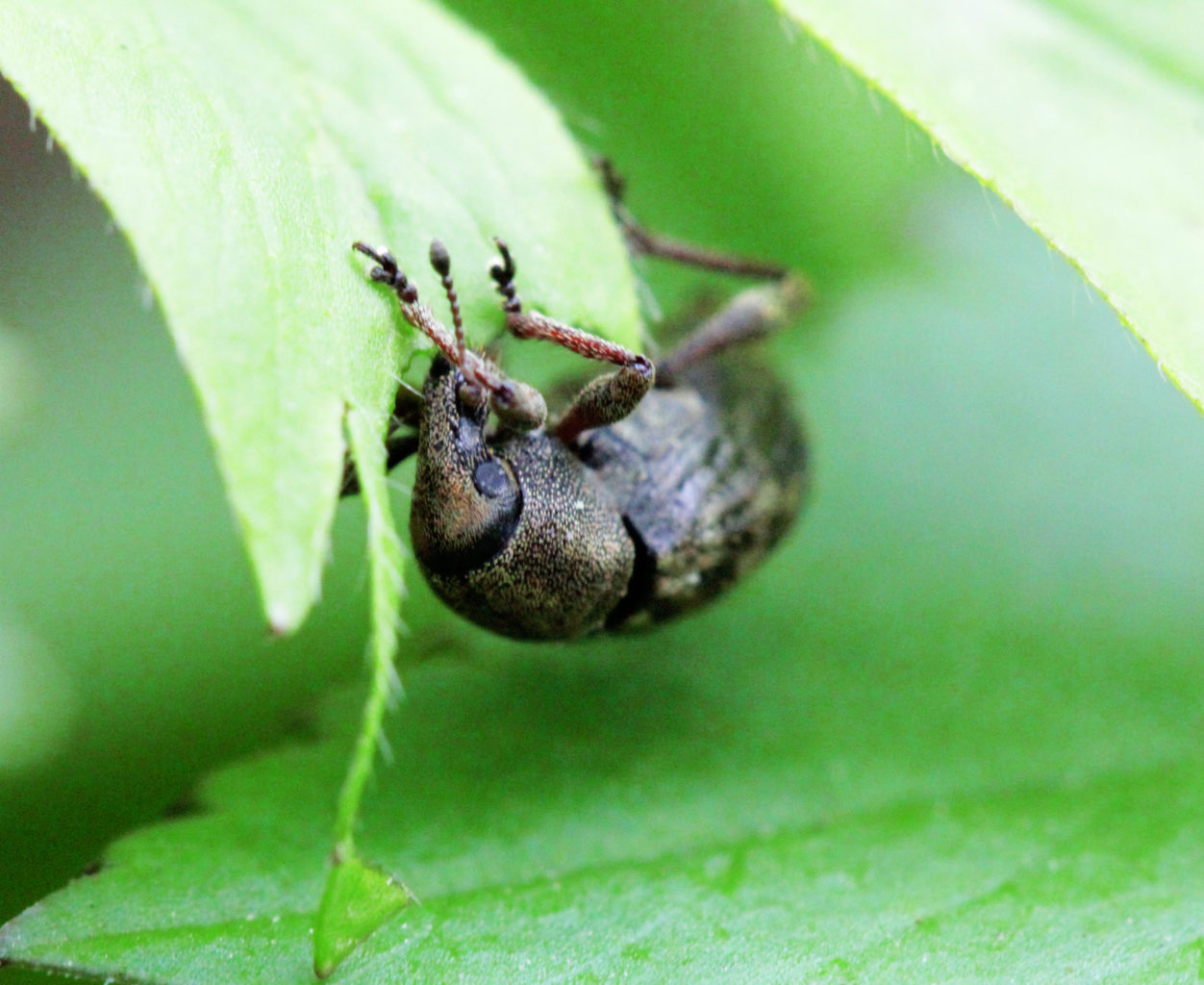 Valokuvaaja: Satu Mali