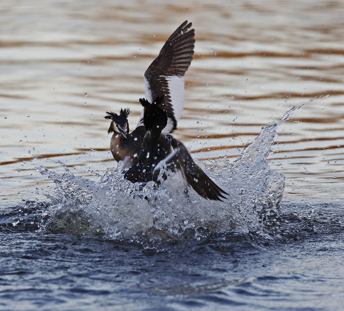 Valokuvaaja: Juha Mettälä